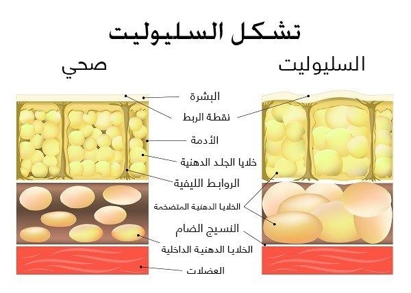 كيف يعمل جهاز تراي اكتيف ؟