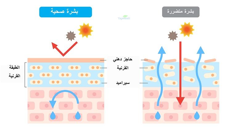 ⁨‎⁨تأثير الطقس على البشرة ⁩⁩