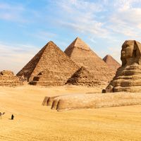 ازالة الزوائد الجلدية في مصر 