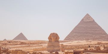 اكزيما الشعر في مصر
