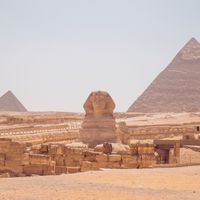 اكزيما الشعر في مصر