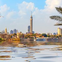 الخلايا الجذعية للشعر في مصر