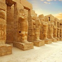 تجميل الانف بالليزر في مصر