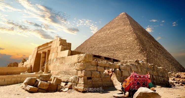 ديرما بن في مصر