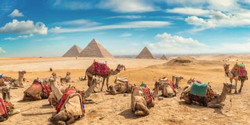 سعر عملية انحراف الحاجز الأنفي في مصر