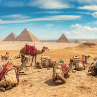 سعر عملية انحراف الحاجز الأنفي في مصر