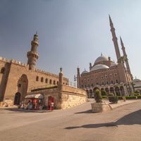 سعر فيلر الأنف في مصر