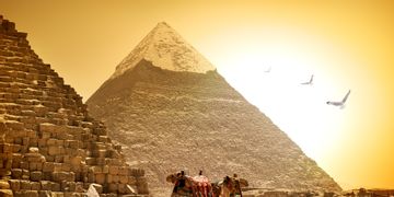 شد الذقن المترهل في مصر