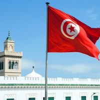 عملية شفط دهون البطن في تونس