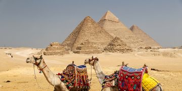 أسعار إزالة الحسنات بالليزر في مصر