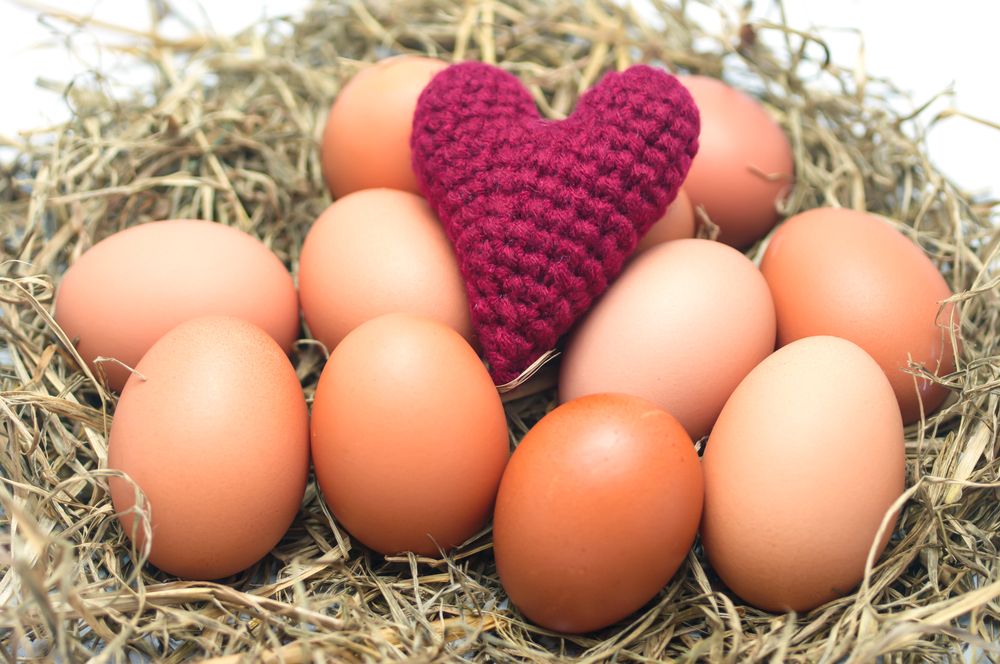 البيض من أهم المصادر الطبيعية لحمض الفوليك
