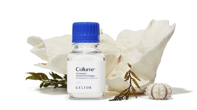 الكولاجين البشري هوما-كول21 HumaColl21 Human Collagen من جيلتور Geltor
