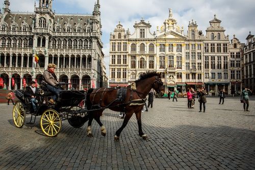 السياحة في بلجيكا بعد زراعة الشعر