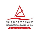 مركز النيل