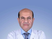 د. عبد العزيز الطويل