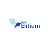 مركز إليتيوم الطبي الجراحي Elitium Cerrahi Tip Merkezi