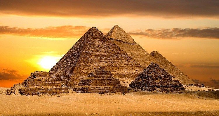 كبسولة المعدة في مصر